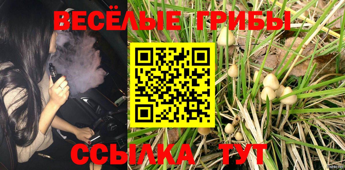Муравленко  Псилоцибиновые грибы MAGIC MUSHROOMS  продажа наркотиков  Вход с VPN 